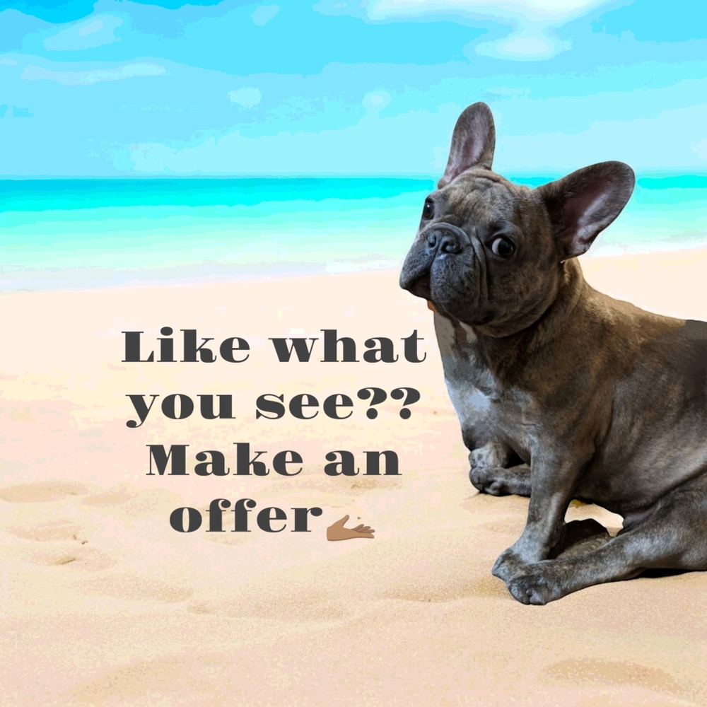 Meet your Posher, Michelle ( and Luna The Frenchie)